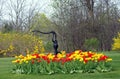 Colourful bed of tulips Royalty Free Stock Photo