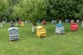 Colourful beehives.Beehives with bees in a honey farm