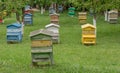 Colourful beehives.Beehives with bees in a honey farm