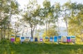 Colourful beehives in a field. Summer season.