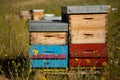 Colourful Beehives in Provence Royalty Free Stock Photo