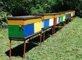Colourful Beehives Royalty Free Stock Photo