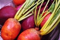 Colourful beets being washed Royalty Free Stock Photo