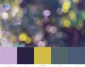 Colourful Blurred Bokeh Background With Color Theme