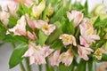 Colourful bouquet of white and lilac flowers Royalty Free Stock Photo