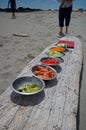 Colourful bowls of vegetables lined up on a log for lunch on a kayak trip to the Brookes Peninsula, Vancouver Island Royalty Free Stock Photo