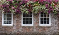 A Set Of Three Windows With A Colourful Display Of Hanging Baskets Of Flowers.