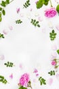 Colourful bright pattern made of flowers Royalty Free Stock Photo