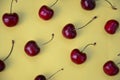 Colourful bright pattern with ripe cherry, flowers and leaf. Top view. fresh organic berries macro fruit background Royalty Free Stock Photo