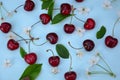 Colourful bright pattern with ripe cherry, flowers and leaf. Top view. fresh organic berries macro fruit background Royalty Free Stock Photo