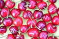 Colourful bright pattern with ripe cherry, flowers and leaf. Top view. fresh organic berries macro fruit background Royalty Free Stock Photo