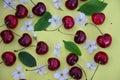 Colourful bright pattern with ripe cherry, flowers and leaf. Top view. fresh organic berries macro fruit background Royalty Free Stock Photo