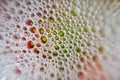 Colourful Bubbles