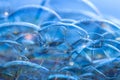Colourful Bubbles Macro Abstarct Background Royalty Free Stock Photo