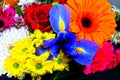 Colourful bunch of mixed flowers closeup Royalty Free Stock Photo