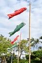 Carp streamer, koinobori Royalty Free Stock Photo