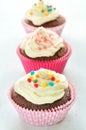 Colourful Chocolate Cupcakes Royalty Free Stock Photo