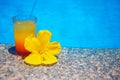 Colourful Cocktail with yellow flower over blue surface water ba Royalty Free Stock Photo