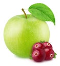 Colourful composition with apple and cranberry isolated on a white background with clipping path. Royalty Free Stock Photo