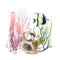 Colourful coral reef underwater composition with exotic fishe. Watercolor illustration isolated on white background Royalty Free Stock Photo