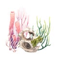Colourful coral reef underwater composition. Watercolor illustration isolated on white background Royalty Free Stock Photo