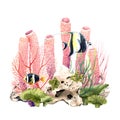 Colourful coral reef underwater scene. Watercolor illustration isolated on white Royalty Free Stock Photo