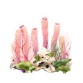 Colourful coral reef underwater scene. Watercolor illustration isolated on white Royalty Free Stock Photo