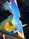 Colourful Crystals