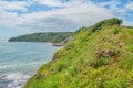 The colourful curving summer coast at Peveril Point,Swanage,England