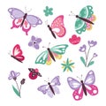 Colourful cute butterflies set isolated on white background Royalty Free Stock Photo