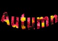 Colourful design word autumn font stock vector decorative element in yellow and red on black background.