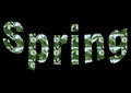 Colourful design word spring font stock vector decorative element in white and green on black background.