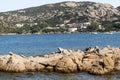 Colourful Early Summer View of the Northern Coast of Sardinia at Baia Sardinia  and Turquoise Mediterranean. Royalty Free Stock Photo