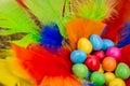 colourful Easter chocolate eggs feather nest Royalty Free Stock Photo