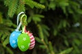 Colourful Easter eggs on Christmas tree