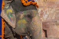 Colourful elephant in Jaipur, Rajasthan, India Royalty Free Stock Photo