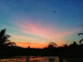 Colourful evining with paddy field and water Royalty Free Stock Photo