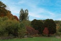 Colourful Fall Trees Under A Blue Sky