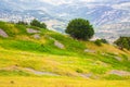 Colourful field at the foot of a high mountain, italian alpine landscape on a summer misty morning. Idyllic mountain