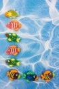 Colourful Fish Border Royalty Free Stock Photo