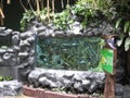 Colourful fish in a fish tank in Manila Ocean park, Manila