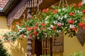 Colourful flower baskets hanging on a porch Royalty Free Stock Photo