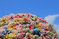 Colourful flower bed in blue sky