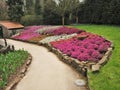 Colourful flower bed with mixed heathers Royalty Free Stock Photo