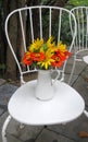 Colourful flower from garden in white vase