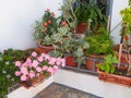 Colourful Flower Pots Outside White House Royalty Free Stock Photo