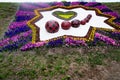 Colourful flowerbed at park