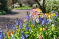 Colourful flowerbed on sunny day