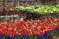 Colourful flowerbeds.