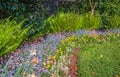 Colourful Flowerbeds and Green Grass Pathway in a Garden. Lush landscaped garden with flowerbed and colorful plants